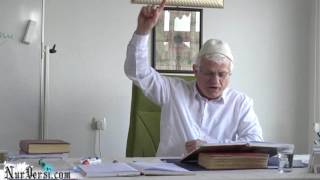 Dimağdaki Kuvvet - YOZGATNUR