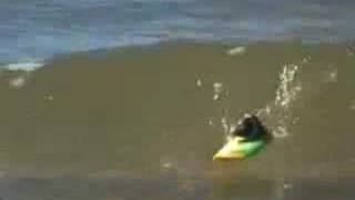 Jaya the Cat - Mistake