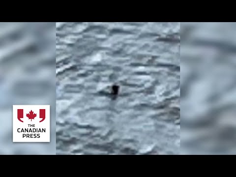 Canadian couple in UK in limelight after Loch Ness monster sighting