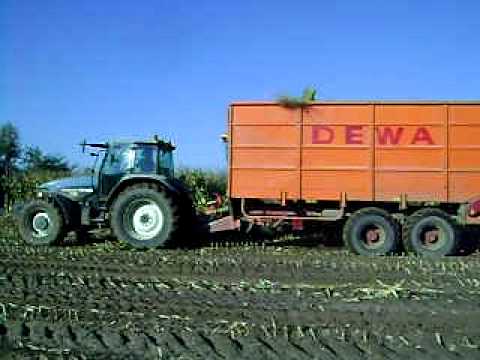 Van Bruwaene E - Poesele