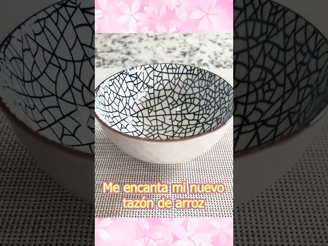 Vídeo relacionado con Swuut - Tazones de cerámica japonesa (283,5 g, ensalada, sopa, tazón de arroz de 11 cm, azul y blanco (11,4 cm)