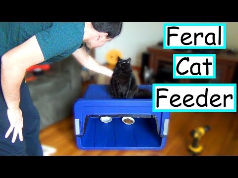 DIY Feral Cat Feeding Station | EASY + CHEAP