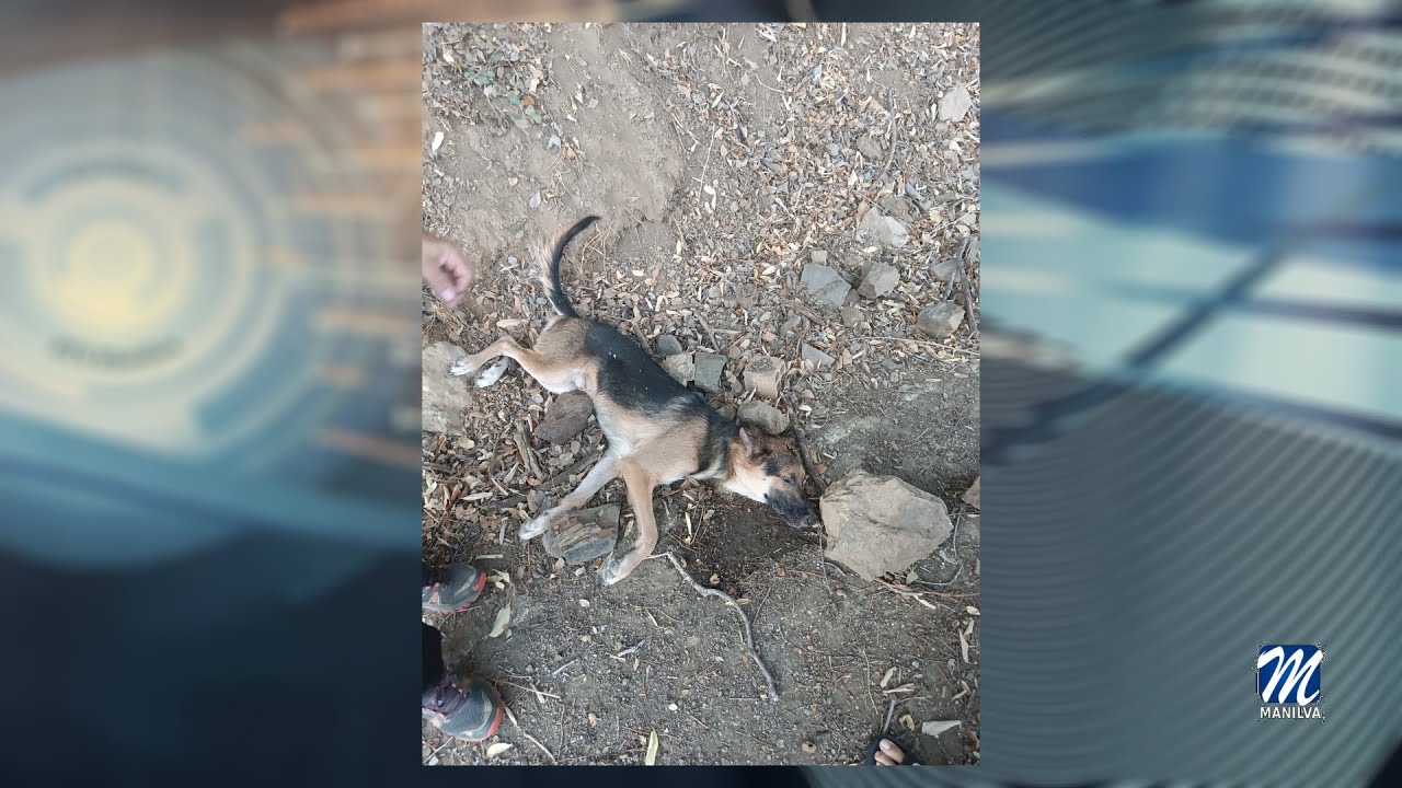 Irene y Sofía salvan la vida al pequeño Coco