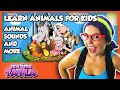 Tea Time With Tayla Learn Animals For Kids Animal Sounds And More