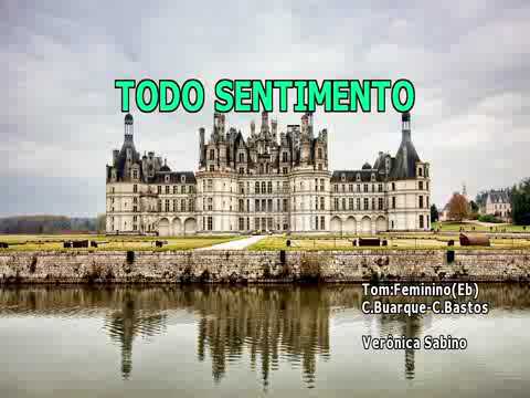 Todo Sentimento - Verônica Sabino