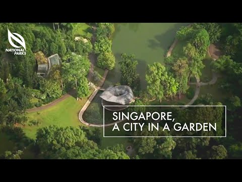Singapore Gardens: A Fusion of Nature and Urbanity | Golden Age