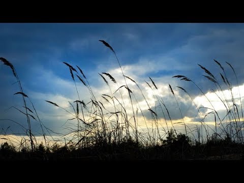 I am saying that to you!   William Branham (Making The Valley Full Of Ditches)