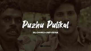 Download lagu puzhu pulikal slowed reverb | kammatti paadam | Lofi Cover | Jahan Mubarak mp3