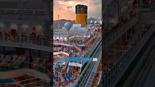 Worst Cabins to Book on a Cruise Ship #usashorts #usa #cruisetour