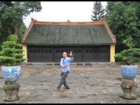 Ba Gua Zhang (Lao Shr Wayne Welsh) and Po Kwa Zen (Dai Sigung Willem deThouars) Filmed in Vietnam