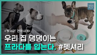 유튜브 썸네일