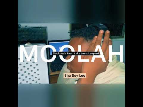 Blackdude Feat. Leke Lee, Leopard - Moolah