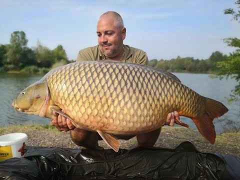 SEDO - CFB Team Hungary - 6 napos horgászat 4db 20kg feletti hallal 3 halfajban