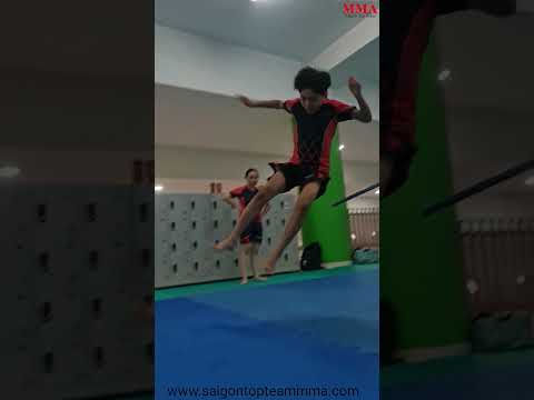 Võ Tự Vệ Tổng Hợp