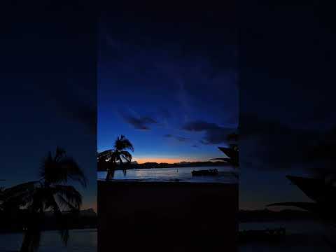 Puerto viejo limón Talamanca #wildlife #nature #vistashermosas #naturaleza #fotografia #travel 🇨🇷❤️🏝