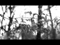 Эльчин Сафарли / Elchin Safarli trailer 