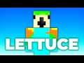 Parrot Raps About LETTUCE
