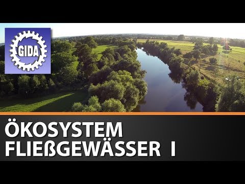 Trailer - River Ecosystem I - Biology - Educational Film