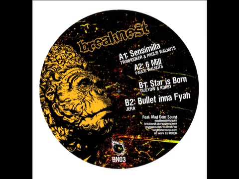 Sensimilla - Mad Dem (Breaknest 003)     - ragga jungle mash up breaknest -