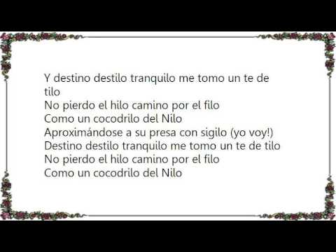 Chancha Via Circuito - La  Revancha De Chancha Lyrics