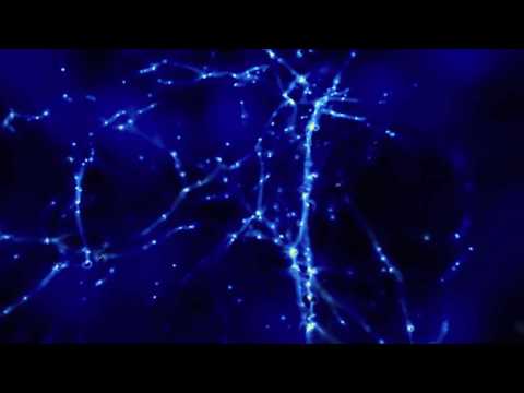 Dark matter, gas and galaxies in a cosmological simulation of the Milky Way