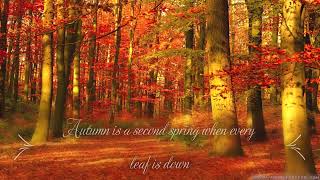 20+ Autumn Quotes' / Autumn Vibes / Fall Ambience / WhatsApp dpz