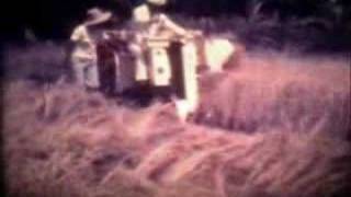 karaoke country zone (edit) :: hair stylistics