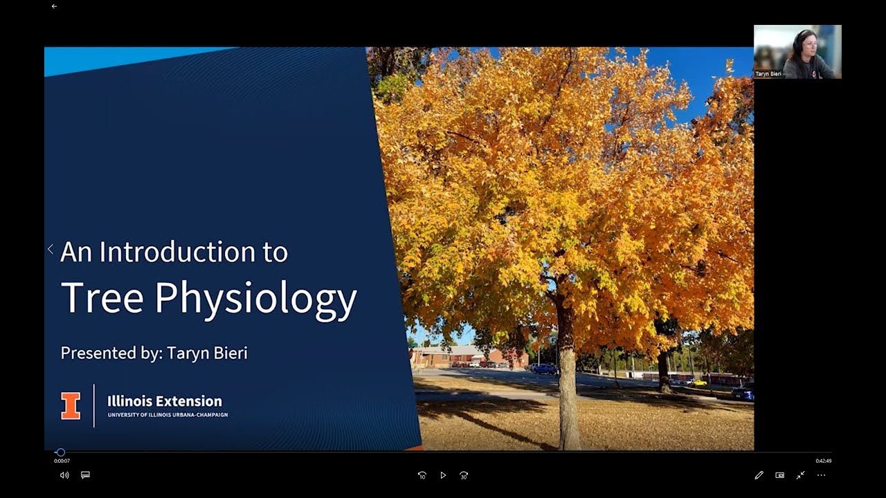Introduction to Tree Physiology