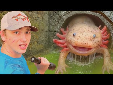 Ho trovato AXOLOTL in un tunnel nascosto!