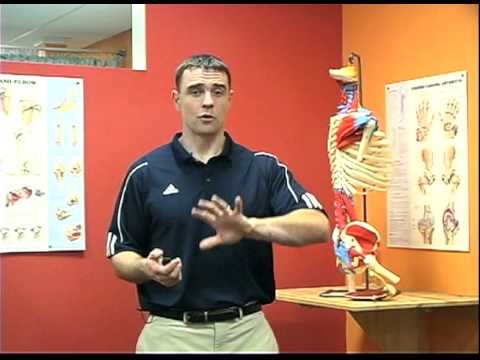 Training The Athletic Shoulder: Corrective Exercise Functional Anatomy