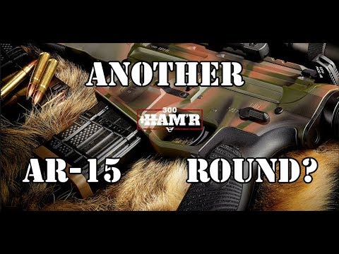 The 300 HAMR... What exactly is it?... Thumbnail