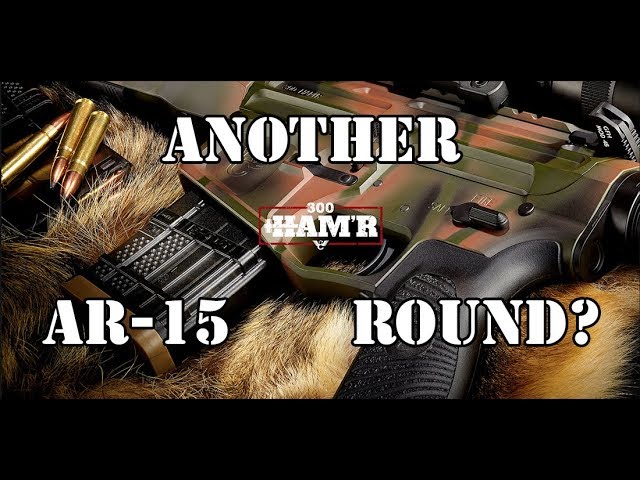 The 300 HAMR... What exactly is it?...