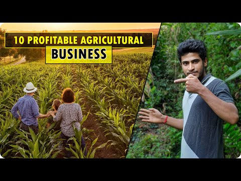 , title : 'Best and Most PROFITABLE Agricultural Business Ideas | SUCCESSFUL Farming Business'