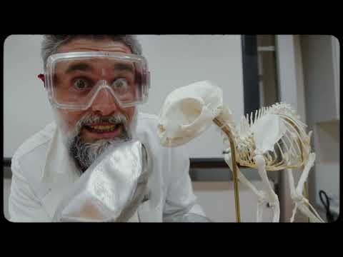 How I Left - Continental (official video)