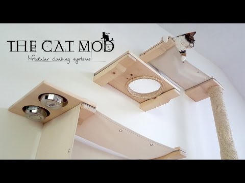The Cat Mod - Modular Climbing Systems