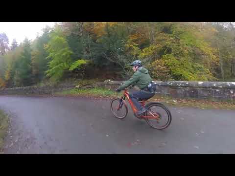 BAZ SIMPSON WHEELY AT HAMMERS.