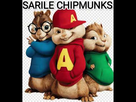 sarile chipmunks