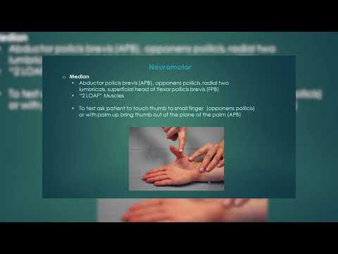 Dr. Michael Garcia, Hand and Wrist Examination - Florida Orthopaedic Institute