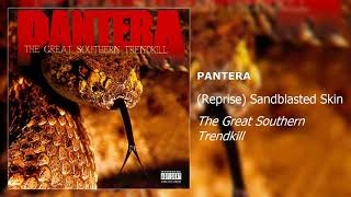 Pantera - (Reprise) Sandblasted Skin