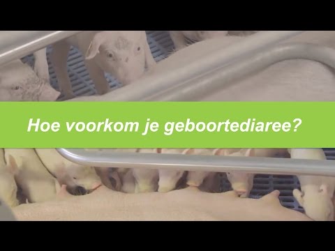 , title : 'De Heus Hoe voorkom je geboortediaree?'