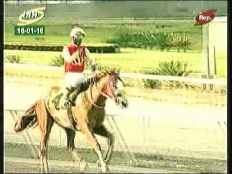 Resumen Sábado, 16 de Enero de 2016 - La Rinconada