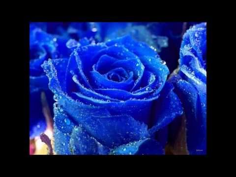 Happy Birthday Maana