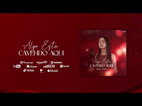 Algo Esta Cayendo Aquí - Meillyn García (Audio Oficial)