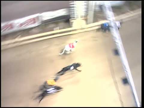 2017 BETFRED STEEL CITY CUP - 1ST SEMI - T3 YAHOO BENNY