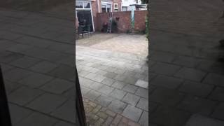 Straat jeugd van tegenwoordig