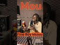 Fine Boy Mickey Mou