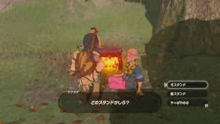 ゼルダの伝説ブレスオブザワイルド　初見プレイ#10　ハイラル北西部へ