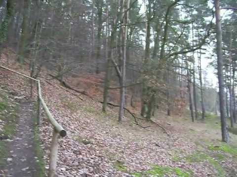 Lohr - Sendelbach - am Romberg  1. Es soll ein völliger Kahlschlag erfolgen