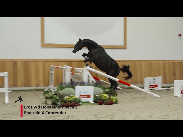 Eros v/d Holsteinerhoeve Z