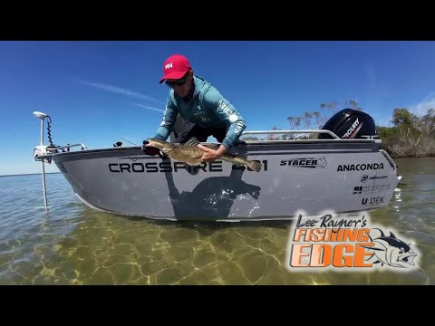 Early Season Flathead - Big Fish in Shallow Water